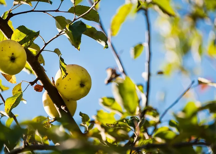 Hofer Stubn 3* Kolsassberg