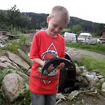 Hofer Stubn 3*