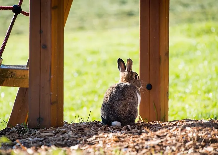 霍费尔斯达恩旅馆 3* Kolsassberg
